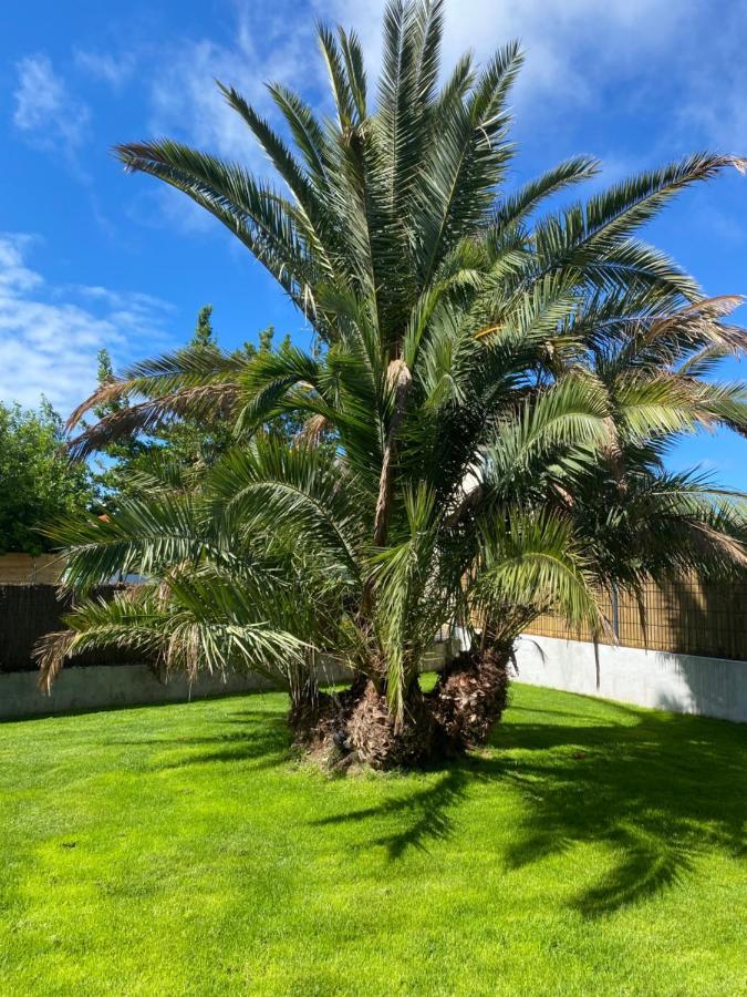 Le 19 Sene Exterior foto